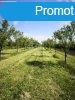 Elad fldterlet Pomz, 	Dolinai t