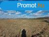 Mezgazdasgi birtok | Zknyszk  -i rszn 12,5 ha fld 
