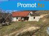 Lehetsg-tvol a vros zajtl!! - Balatonszls