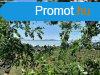 Panorms terlet- elad GYMLCSS BADACSONYTOMAJBAN - Bada