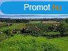 Telepls kzeli, panorms-elad MEZGAZDASGI TERLET TAGY