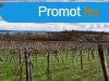 Tjpanorms,telepls kzeli- elad MEZGAZDASGI TERLET Z