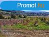 pthet, tjpanorms-elad MEZGAZDASGI TERLET MINDSZENT