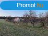 Elad rszpanorms nyaral Balatonalmdiban!