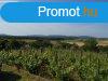 Smegen, tjpanorms pince, lehet az n kincse!