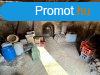 Elad egy prshz, risi pincvel, Mron, egy 634 m2-es tel