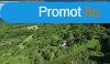 Balaton-felvidken 6,3 ha birtok, 2 db romos plettel - Vs