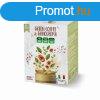 FoodNess Green Coffee & Ganoderma 