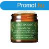 Antipodes Tpll jszakai arckrm Avocado Pear (Collagen-Bo