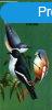 A Guide to Birdwatching in Hungary - Gorman, Gerard