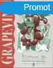 Grapevine Workbook 3B - Peter and Karen Viney