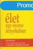 let egy eszme rnykban - Hegeds Andrs