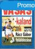 Vasas-kaland, avagy Rcz Gbor felldozsa - Bocsk Mikls