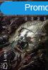 Ezer ork -