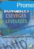 Bngszs-Csevegs-Levelezs - Internet Explorer s Microsof