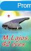M. Lajos, 42 ves-Lajos M., aged 42 - Csalog Zsolt