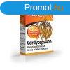 Bioco cordyceps 400 tabletta 90 db