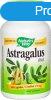 NATURES WAY ASTRAGALUS KAPSZULA 100 DB