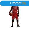 NBA Collection Real Masterpiece Action Figure 1/6 Lebron Jam