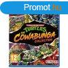 Teenage Mutant Ninja Turtles (The Cowabunga Collection) - PS