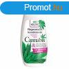 Bione cbd+cannabis regenerl hajkondicionl 260 ml