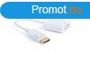 Gembird A-DPM-DVIF-002-W DisplayPort to DVI adapter cable Wh
