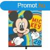 Disney, Napvd Rol, Mickey egr