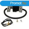 Briggs & Stratton gyjttekercs - 590454 - 18270080 - US