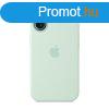 Apple iPhone 16 Silicone Case with MagSafe Aquamarine (Seaso