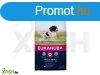 Eukanuba Adult Medium kutyatp 15kg
