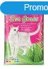 VITAKRAFT CAT GRASS UTANTOLTO 50 G, 2424027