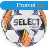 SELECT Brillant Training DB V24 Focilabda fehr/lila
