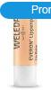 Weleda Ajakpol Everon SPF 4 4,8 g