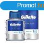 Gillette After shave Series Arctic Ice (After Shave Splash) 