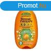 Garnier Sampon s balzsam Botanic Therapy Apricot (Shampoo &