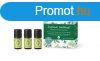 Primavera Aroma elsseglycsomag Forest Energy 3 x 5 ml