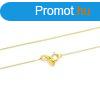 Beneto Exclusive Aranyozott ezst lnc Anker AGS1099 42 cm