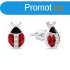 Brilio Silver Bjos ezst flbeval Katicabogr EA951W