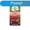 Tulsi MASALA CHAI, filteres bio tea, 25 filter - Organic Ind
