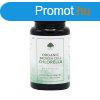Chlorella Alga (trtt sejtfal s organikus) 60 kapszula - 