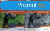 Solutions Upper-Intermediate Student&#039;s Book + Workb