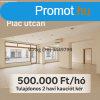 Kiad zlethelyisg, Debrecen Piac utca 500.000 Ft