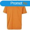 Build Your Brand Frfi pl Heavy Oversize Tee - Narancssrg