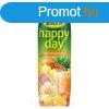 Happy Day Multivitamin 1l TETRA