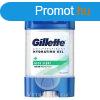 Gillette gl 70ml Aloe