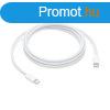 Apple 240W USB-C Charge Cable (2 m)