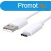 Kbel C-TECH USB 2.0 AM - Type-C kbel (AM/CM), 1m, fehr