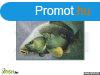 Delphin Lbtrl 3D Carp Rug 60X40Cm - Bojlis Sznyeg
