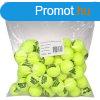 Gold Academy tennis balls packaging 72 pcs