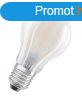 RENDL G13029 OSRAM LED izz, E27 matt